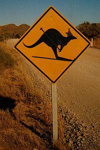 Skiing kangaroo road sign