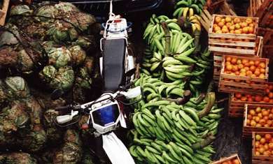 Yuhmak on the cargo deck among the fruit.