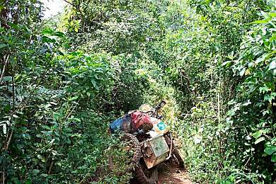 No road ahead in Uganda.