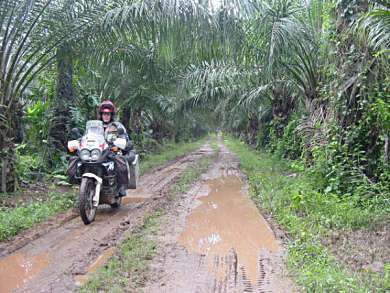 Maarten Munnik on a mud road in Honduras.