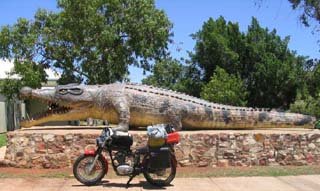 Now that's a crocodile!