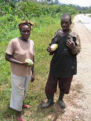 Ghanaian couple bearing cocoa-pods.