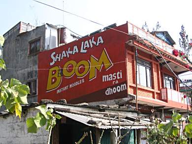 Noodle ads on houses in Nepal.
