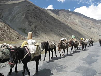 Mountain transport.