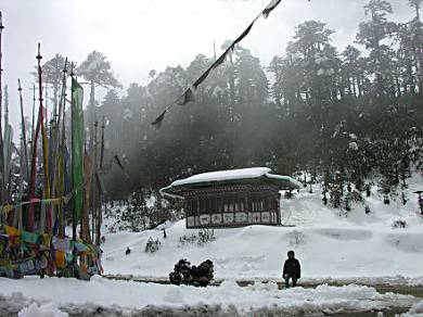 Thumsing La, Bhutan, 3800 metre pass with the usual prayer flags.