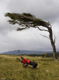 Em and a Tierra del Fuego tree cast for The Matrix IV.