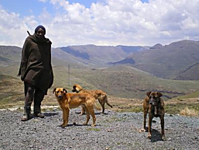 Elliott the Lesotho shepherd.