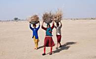  These women have to find firewood in this barren landscape. All that's available are thorny twigs.