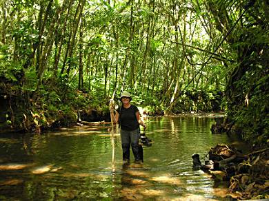 A water crossing on the way to Ngardmau Waterfall, Palau.