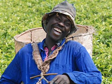 Malawi tea man.