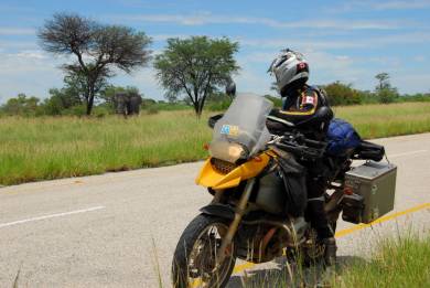 On the road east through the Makgadikgadi Pans we encounter a lone Elephant.