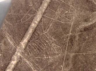 The Whale (at the top) and The Scorpion, Nasca Lines, Peru.