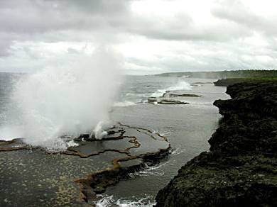 Blowholes along the limestone coast, Tonga.