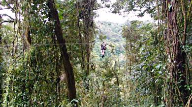 Zipping along in the rainforest, Costa Rica.