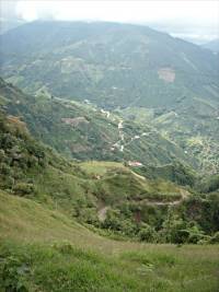 Colombian hillside.