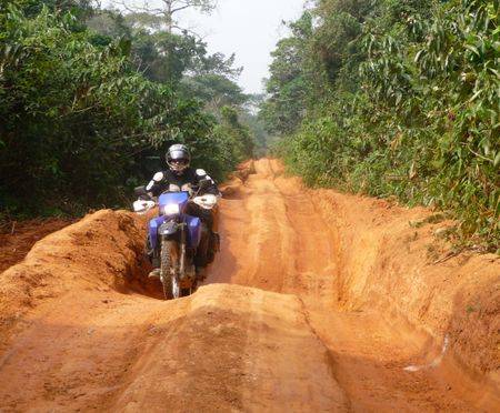 Jungle track in Cameroon.