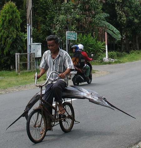 Bike and swordfish.