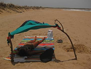 Beaching in Gujarat.
