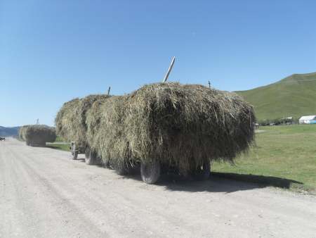 Hay truck in Kazakhstan.
