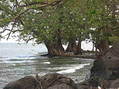 Ometepe Island, Nicaragua.