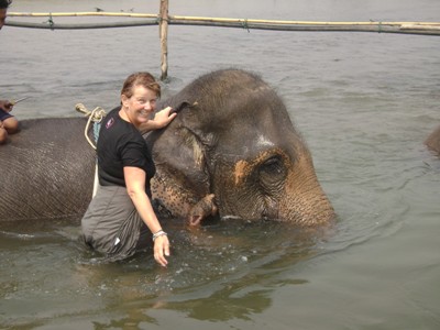 Elephant swim!