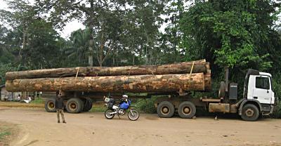 Logging trucks in Gabon.