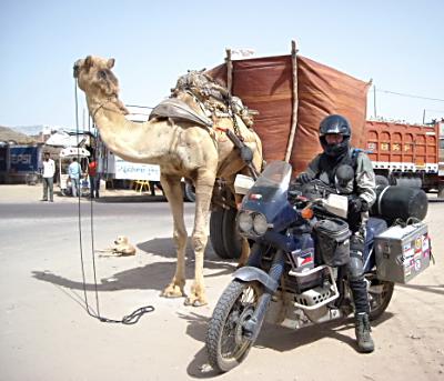 Motorcycle vs camel.