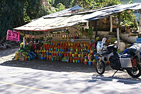 Fruit stand – road to San Blas.
