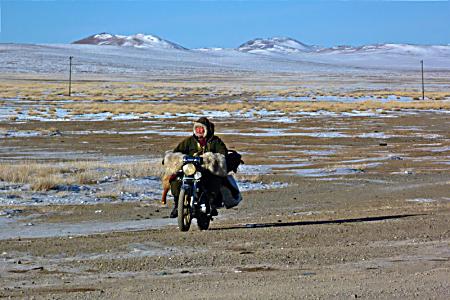 The rider is carrying a large goat behind him.