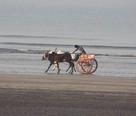 A bike race on the seashore - Murud.