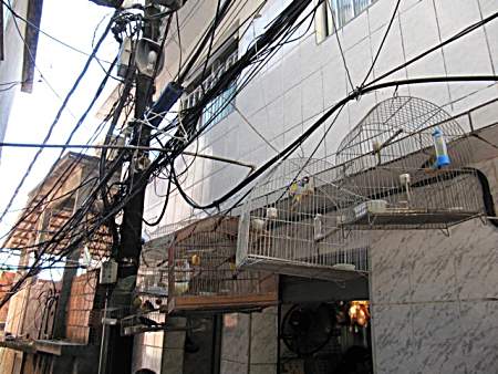 DIY Electricity supply in the Favela.