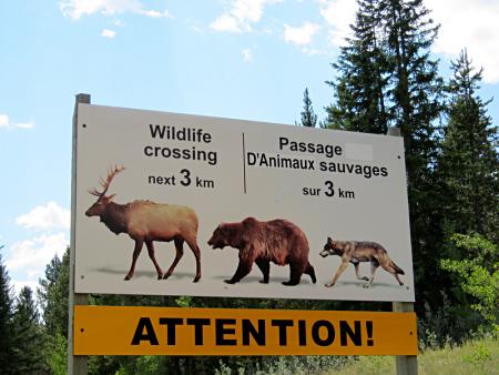 Wildlife crossing sign, Canada.