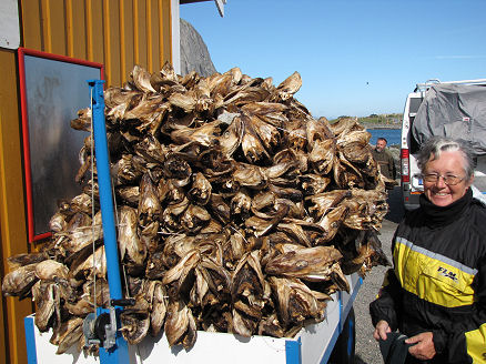 Dried cod heads for export to Nigeria.