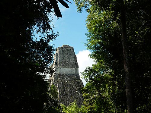 Tikal is another 'must do' backpacker pyramid touristy site.