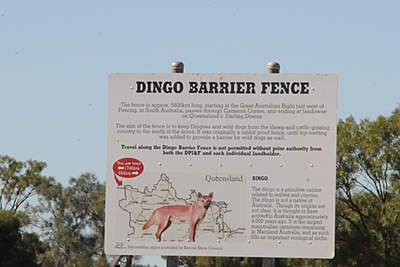 Dingo barrier fence.