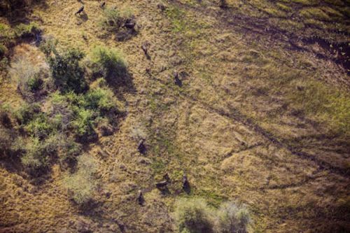 Okavango Delta.