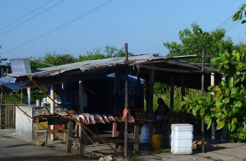 Fish stall, Colombia.