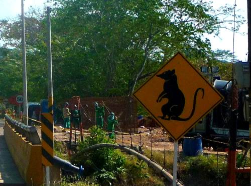 Water rat warning sign, Colombia.