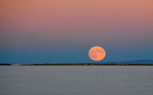 Moonrise over Bonneville.