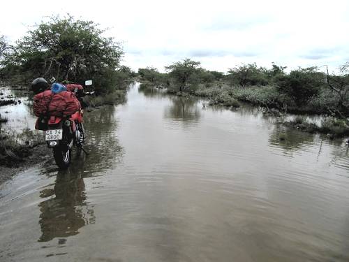 Water crossing on Kubu Island, Botswana.