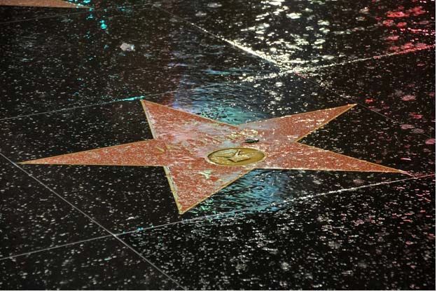 The Hollywood Star