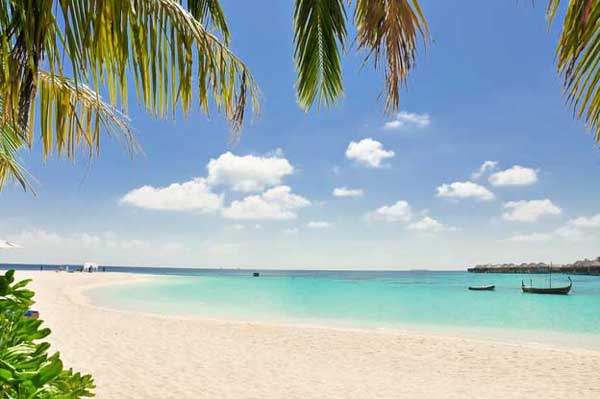 Beaches