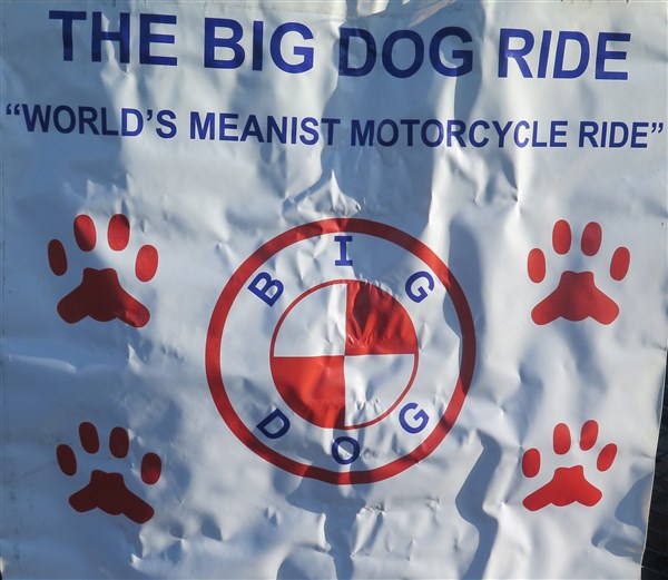Big Dog 2019