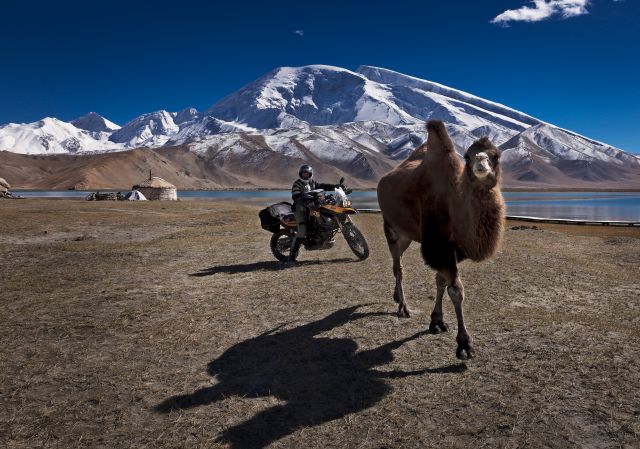 October: by Anna & Claus Possberg, Germany. Camel chase in West China on the border with Pakistan on the Karakoram Highway, Muztag Ata in the background; BMW F800.