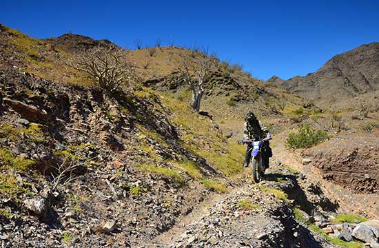 Alex Gray navigating rough terrain by motorcycle