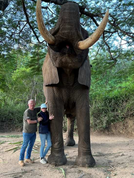 Fred Walti and elephant