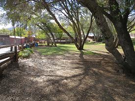 Shady camping areas in Mariposa Fairgrounds.