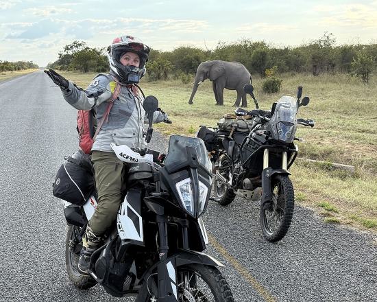 Marina Gray, elephants and motorcycles.