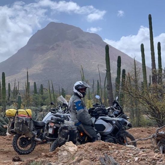 Rob Day, cacti and mountains.