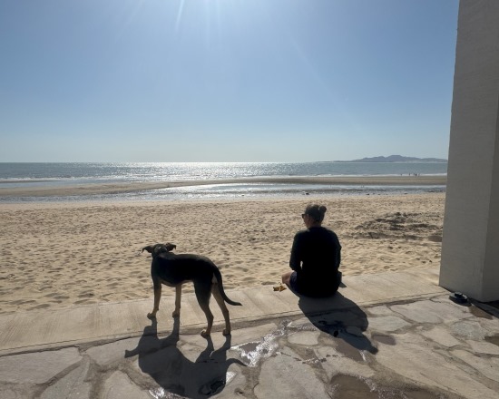 Steph Arias enjoying a sunny beach with a friendly dog.